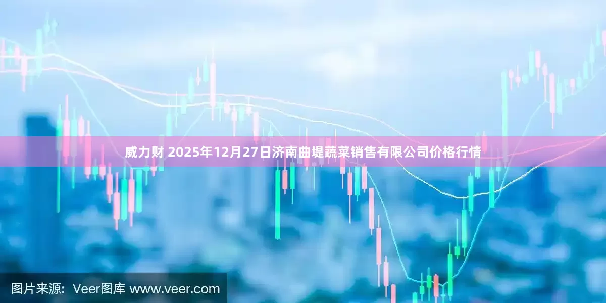 威力财 2025年12月27日济南曲堤蔬菜销售有限公司价格行情